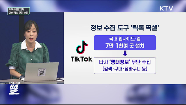 틱톡·애플 제재···개인정보 무단 수집