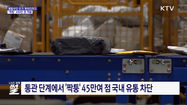 명품부터 인기 캐릭터까지···'짝퉁' 410만 점 적발