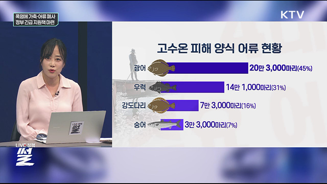  폭염에 가축·어류 폐사···정부 긴급 지원책 마련