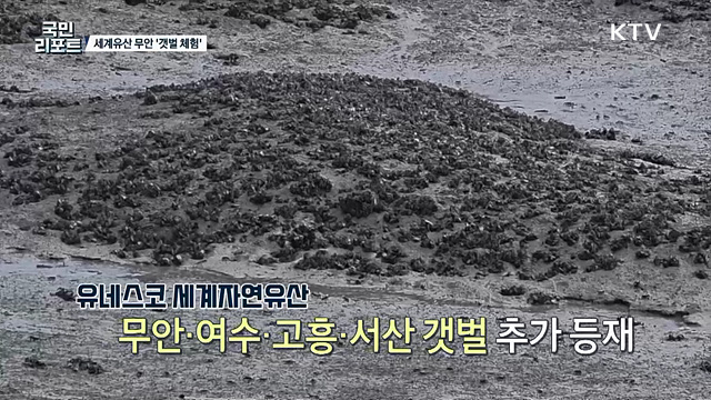 세계자연유산 추가 등재 '무안 갯벌' 생태 체험