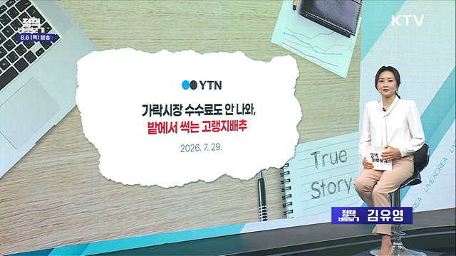 농식부 "고랭지배추 재배 안정 위해 총력···배추가격 점차 안정세"