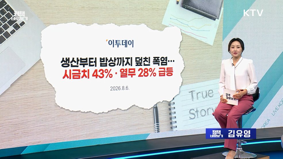 농식품부 "폭염에 따른 채소값 상승? 수급 정상적" [정책 바로보기]