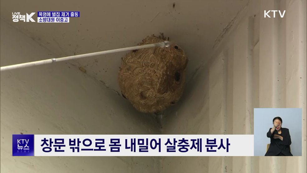 폭염·메마른 날씨에 벌집 '쑥쑥'···소방대원 사투