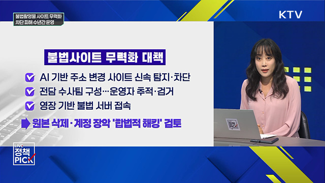 불법촬영물 사이트 무력화···차단 피해 수년간 운영