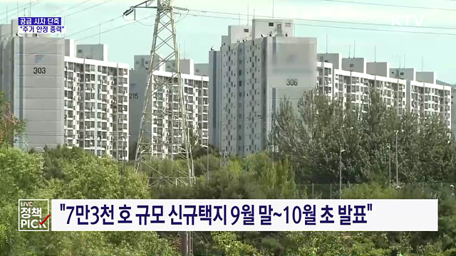 "공급 시차 줄이고 민간 활성화···"주거 안정 총력"