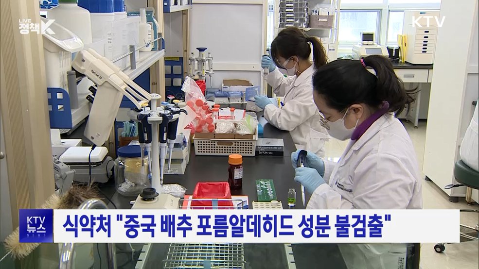 식약처 "중국 배추 포름알데히드 성분 불검출"