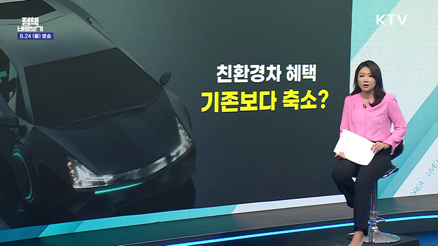 친환경차 개별소비세 감면 폐지?
