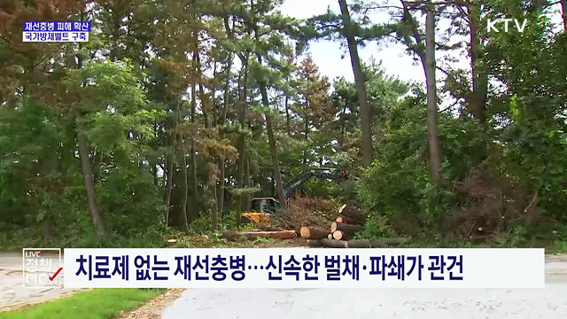 충남 재선충 피해 26배 급증···국가방제벨트 구축