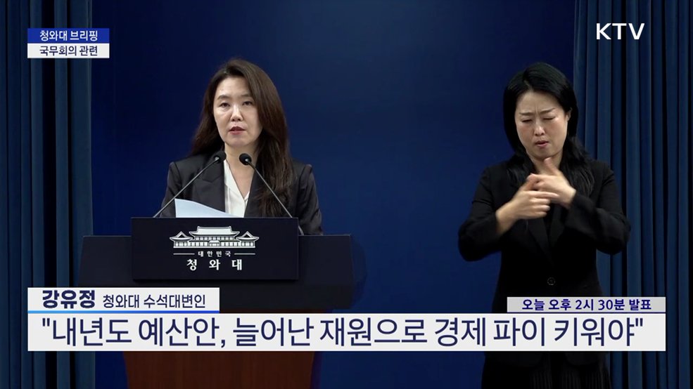 청와대 브리핑 - 국무회의 관련