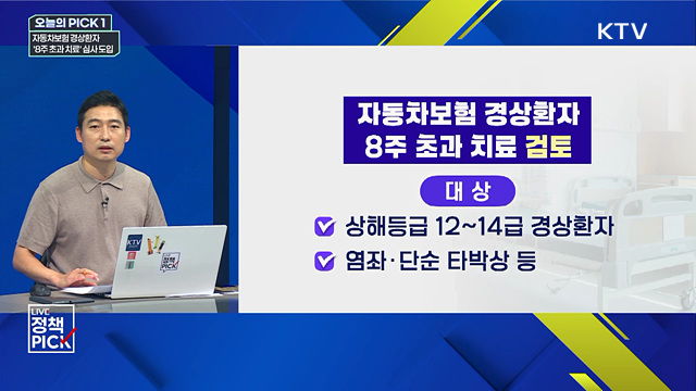 자동차보험 경상환자···'8주 초과 치료' 심사 도입