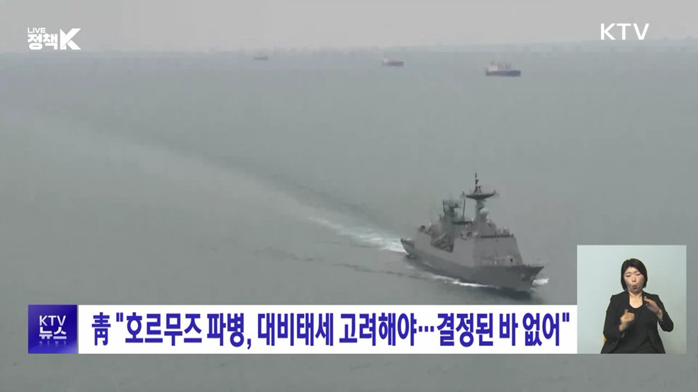 靑 "호르무즈 파병, 대비태세 고려해야···결정된 바 없어"
