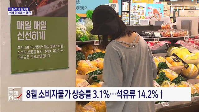KDI "한국 경제 개선 흐름···소비 회복세는 제한"