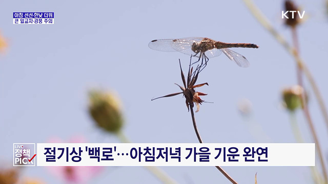 절기상 '백로'···큰 일교차·강풍 주의
