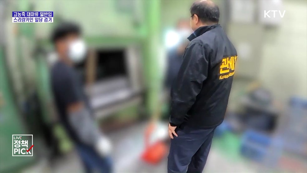 국제우편으로 고농축 대마류 밀반입···외국인 일당 검거