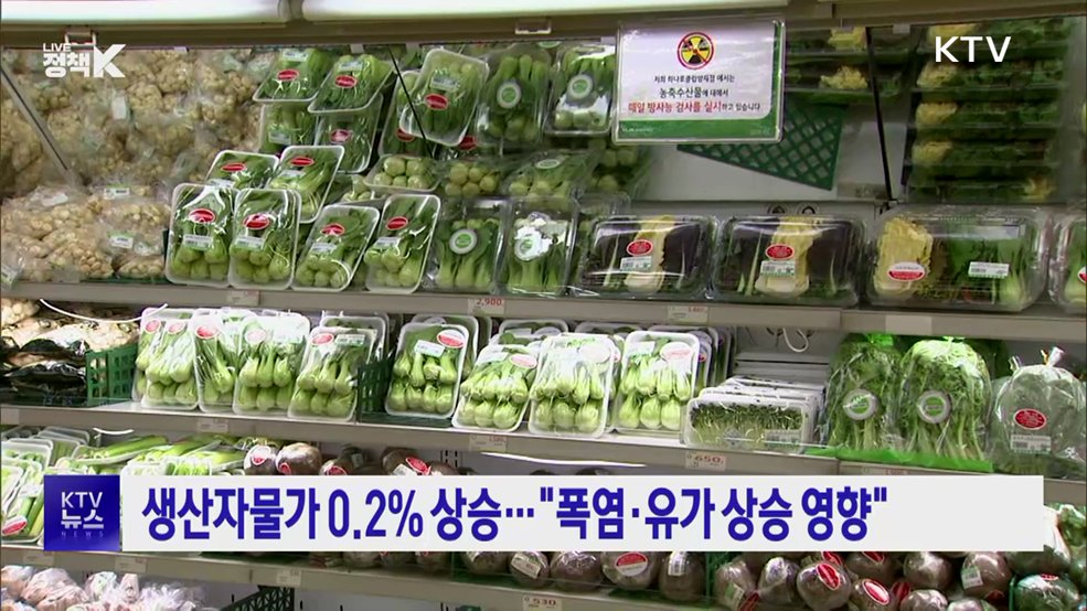 생산자물가 0.2% 상승···"폭염·유가 상승 영향"