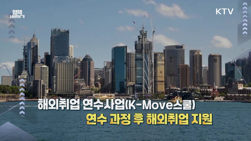 정부 해외취업 연수 폐강? "피해 구제에 최선" [정책 바로보기]
