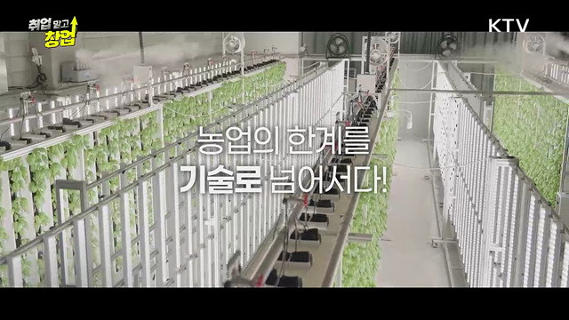 5번의 실패 끝에 찾은 스마트팜의 해법