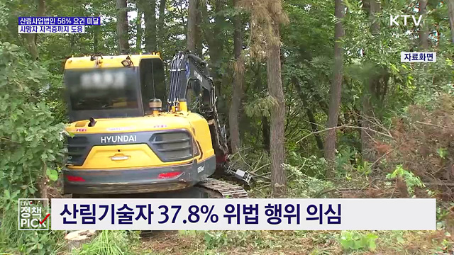 산림사업법인 56% 요건 미달···사망자 자격증까지 도용