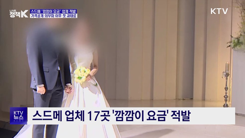 스드메 가격 미표시 업체 17곳에 과태료 부과
