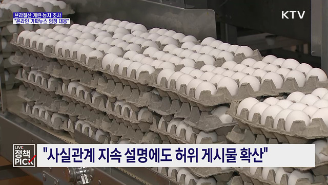 "브라질산 계란·농지 조사 가짜뉴스 엄정 대응"