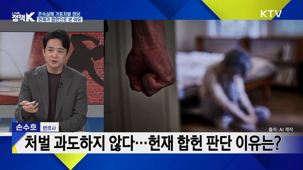 존속살해 가중처벌···13년 만에 다시 '합헌' [K-정책 사용법]