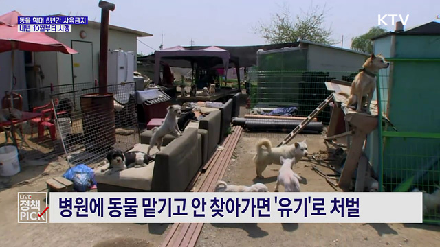 내년 10월부터 동물 학대하면 5년간 사육 금지