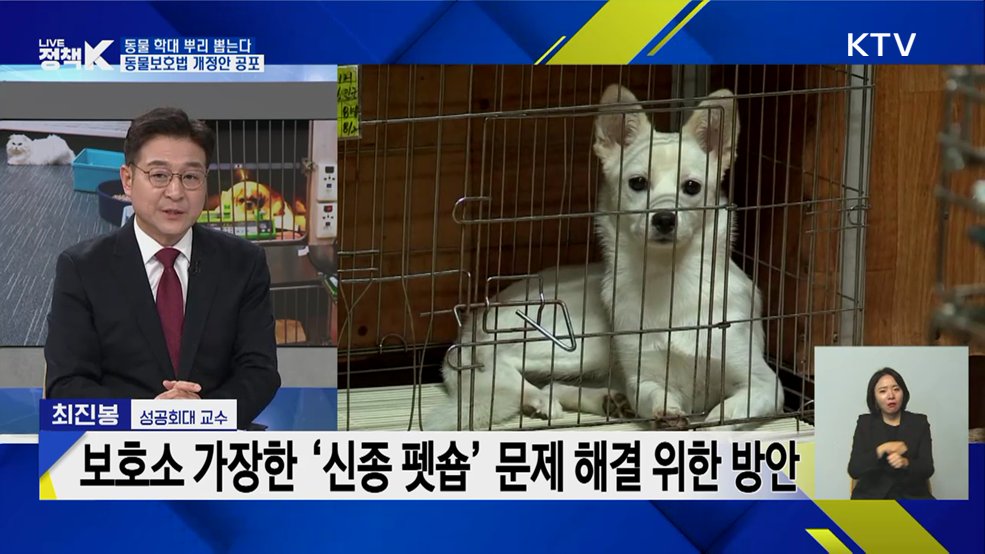  동물 학대 뿌리 뽑는다···동물보호법 개정안 공포 [이슈 체크]