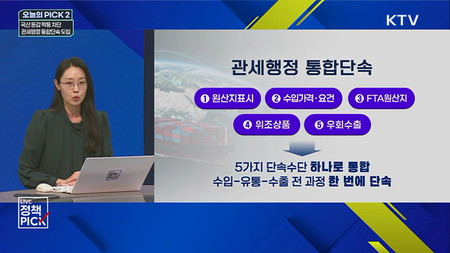 국산 둔갑 짝퉁 차단···관세행정 통합단속 도입
