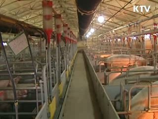 방역 검역 철저 가축농가 보호