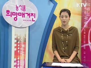 수입쌀 원산지 단속 결과