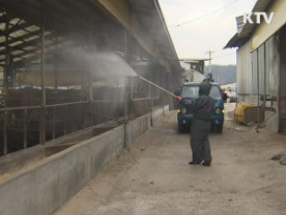 "김장철 앞두고 농수산 물가 안정세"