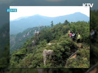 '한국인이 꼭 가 봐야 할 국내 관광지 99선'