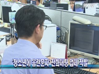 '청소년에 음란문자' 전화채팅 업체 적발