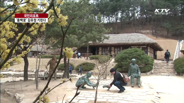 동백꽃 향기 속 김유정 기린다 [국민리포트]