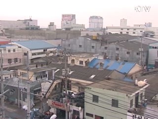 대규모 외투기업, 공장설립 규제 예외