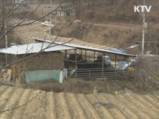 '축산업 허가제' 도입···방역 활동 의무화