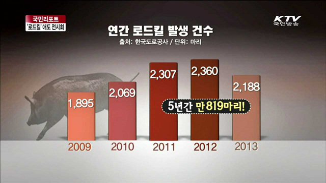 희생된 동물 애도…'만장, 로드킬 프로젝트' [국민리포트]