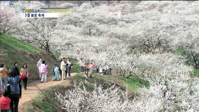 '봄꽃 축제'로 봄을 맞아 봄