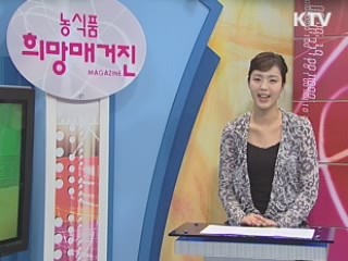 2010 꽃매미 종합방제 대책