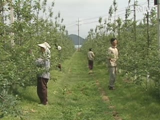 충북도 전국 최초 '유기농특구' 만든다