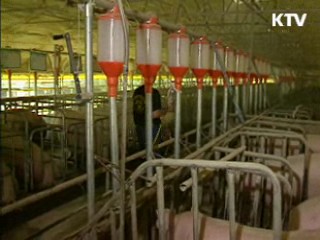 구제역·AI 등 전화예찰로 상시 점검