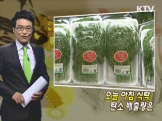 오늘 아침 식탁 탄소 배출량은