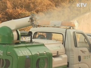 "김장철 앞두고 농수산 물가 안정세"