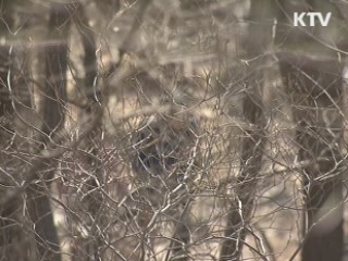 북한산 방문자 최다...설악산 인지도 1위