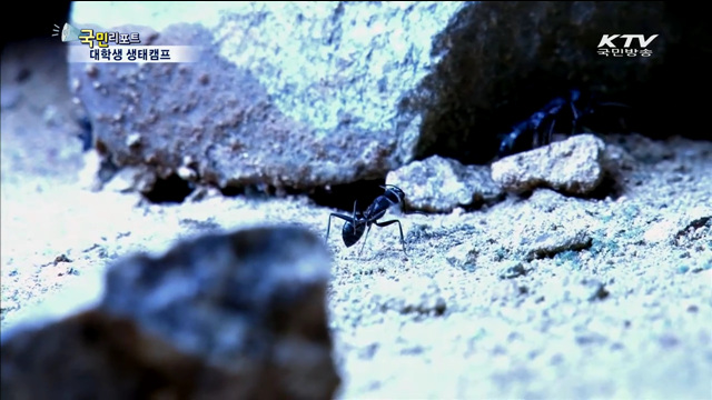 국립생태원서 대학생 생태캠프
