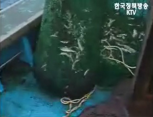 어린고기 보호 로드맵 수립