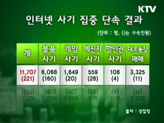 인터넷 사기 집중 단속 결과