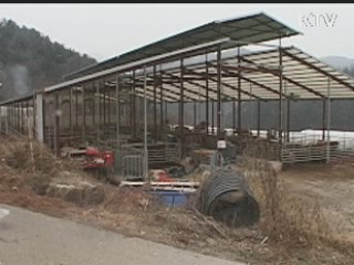 이달 말부터 구제역 지역 확산 진정 될 듯