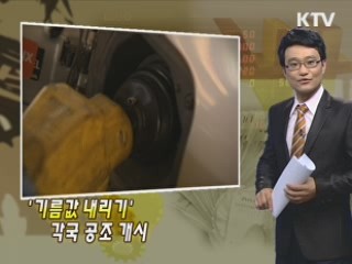 비축유 346만배럴 방출···기름값 안정 유도