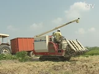 올해 쌀 고정직불금 10~11월 조기 지급